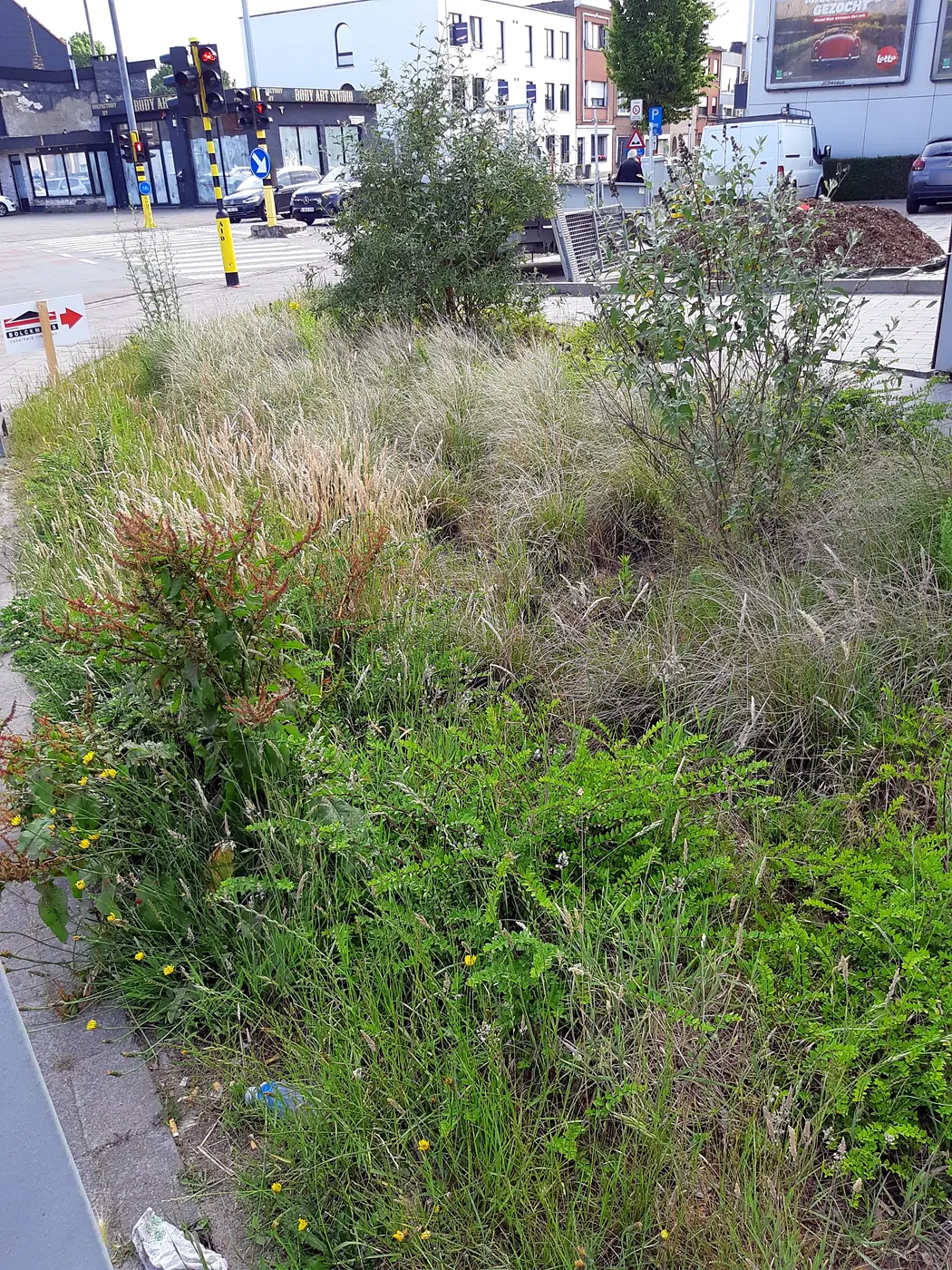 Plantvak bij een bedrijf voor de opkuis: verwilderd met onkruid en hoog gras