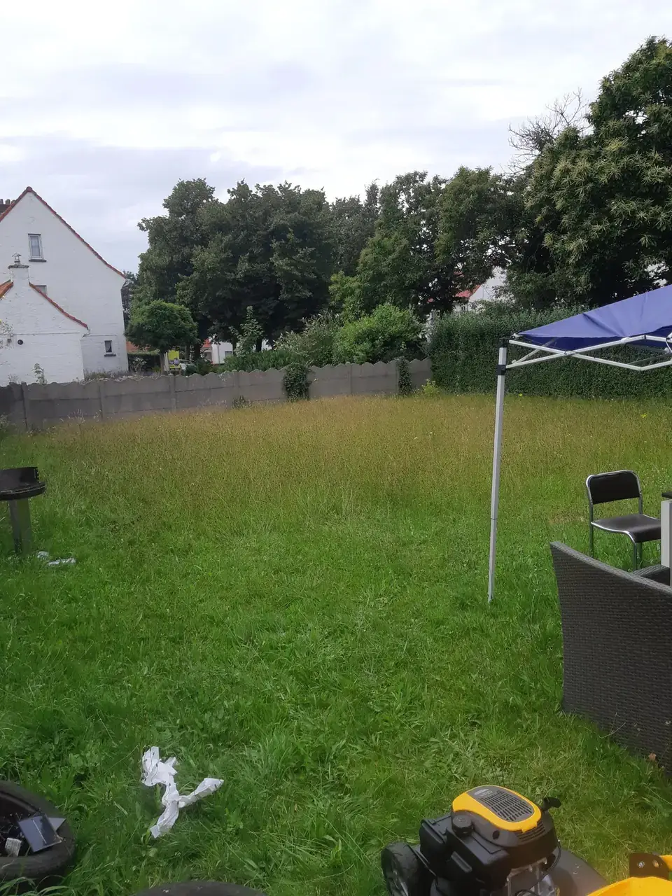 Gazon met hoog, uitgeschoten gras voor het maaien