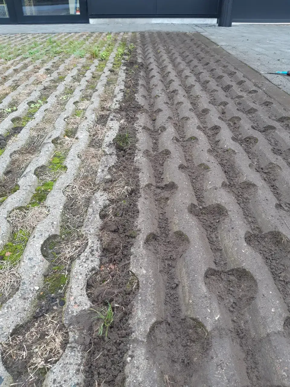Grasdallen halfweg: links nog vol onkruid en mos, rechts opgekuist