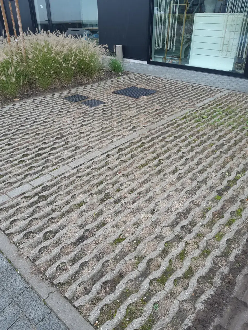 Grasdallen voor een winkel vol dood gras, mos en onkruid