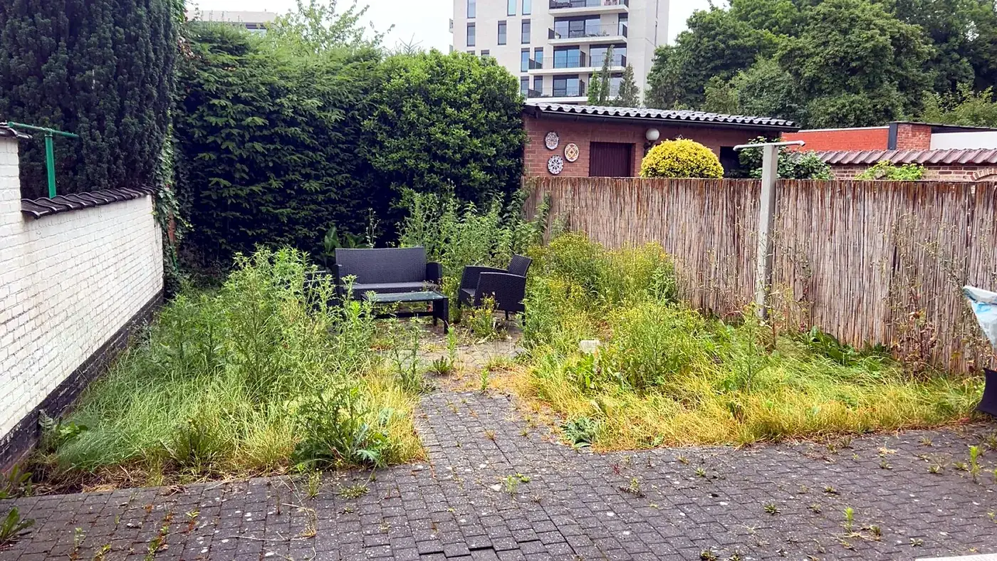 Verwilderde stadstuin vol onkruid voor de opknapbeurt