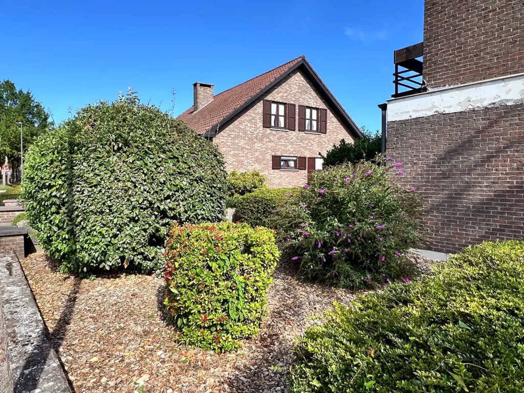 Verzorgde voortuin met gesnoeide heesters en houtsnippers